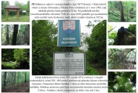 PR Udava (Bukovské vrchy)